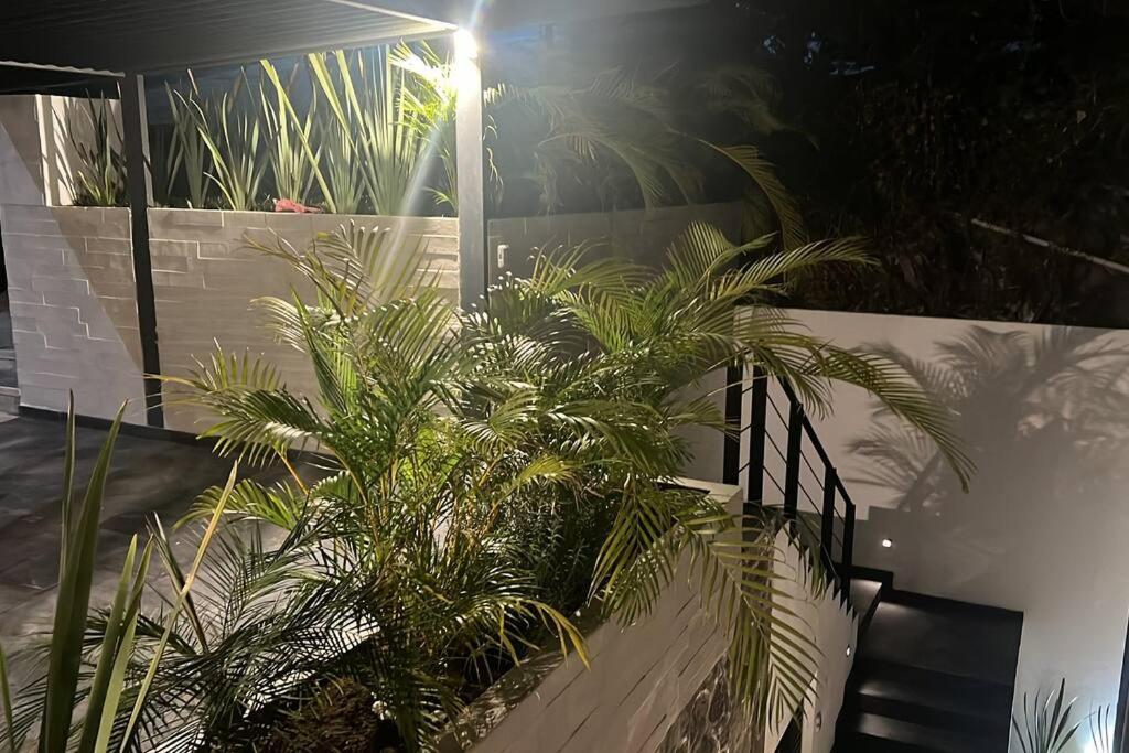 הוילה טמיסקו Residencia Corinto La Cima Frac Burgos Bugambilias מראה חיצוני תמונה